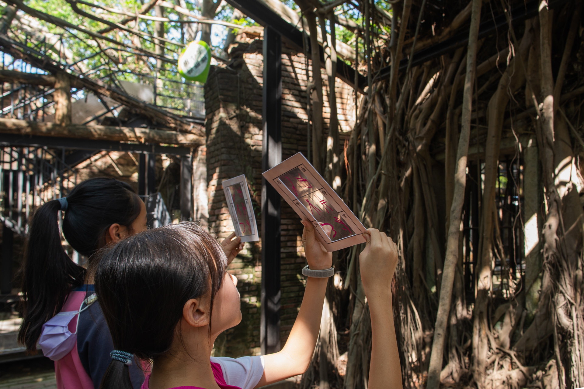 台積電推動書篆藝術　以安平百年老樹為...