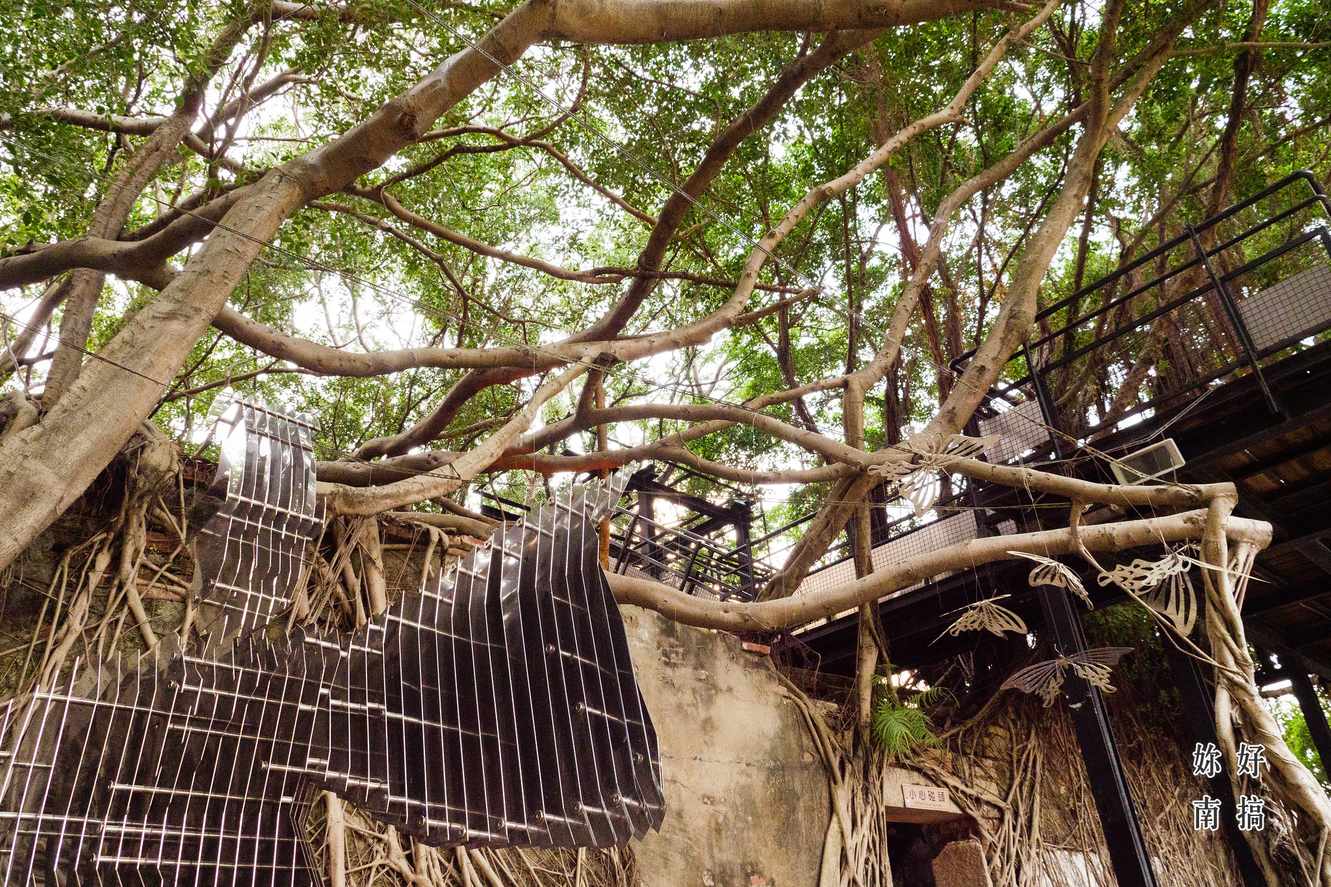 體驗新舊共融的美好 一起認識安平樹屋 臺南市政府文化局古蹟營運科